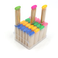 Plastic Bottle Packed Biodegradable Bamboo 2.0*65mm Toothpicks